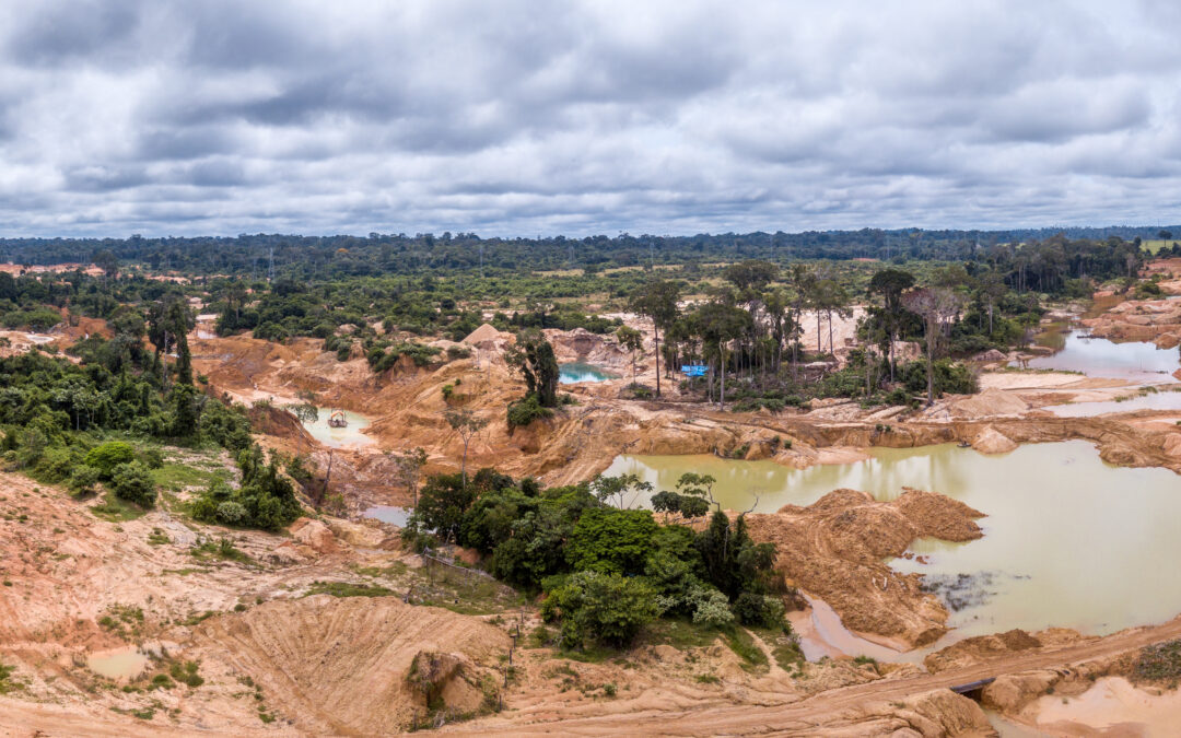 Banks and the collapse of biodiversity